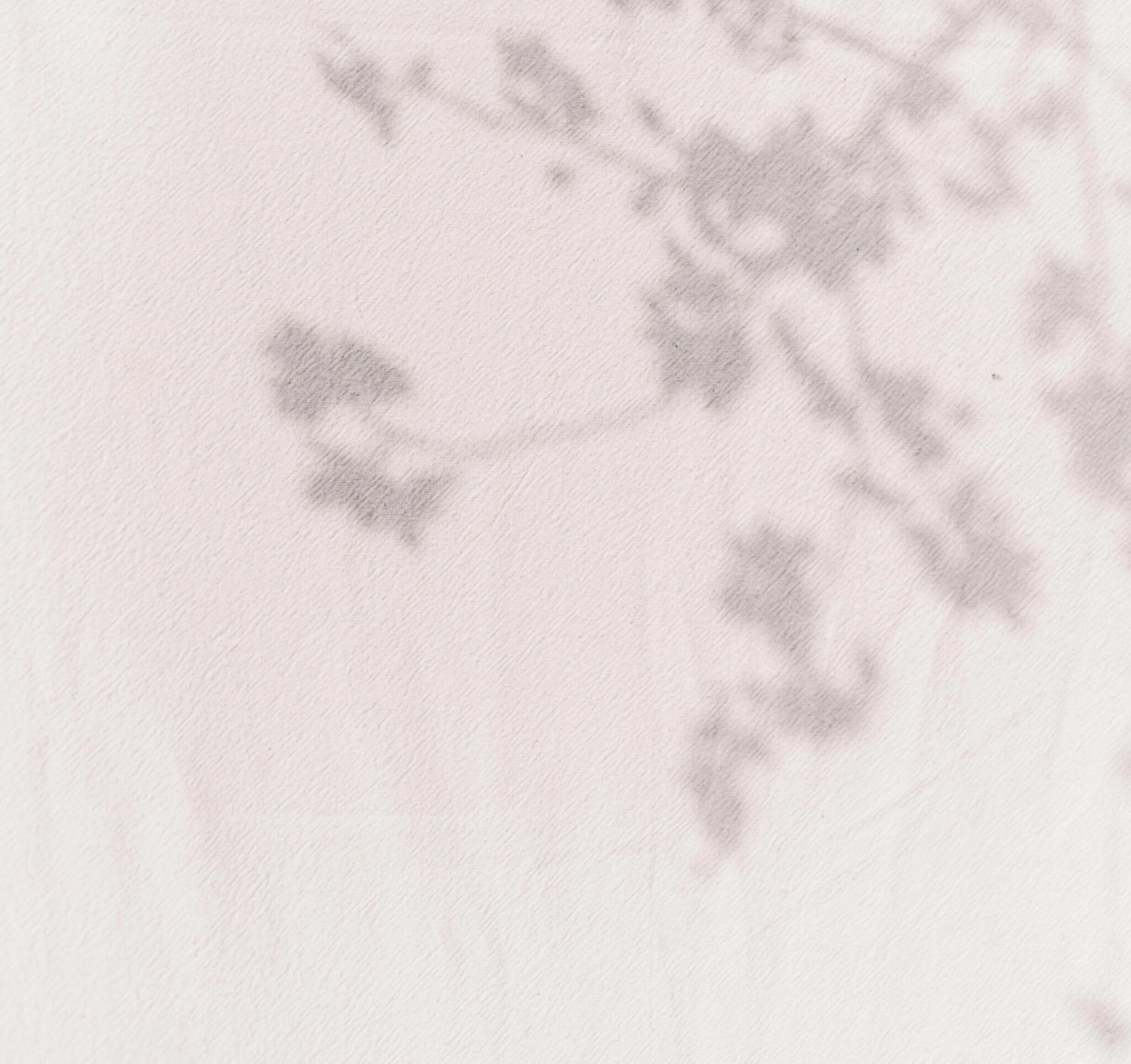 cream colored abstract canvas with the shadow of a tree